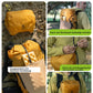 Mochila de senderismo transpirable de 25 l, con bolsillo desmontable y acceso lateral Quantature