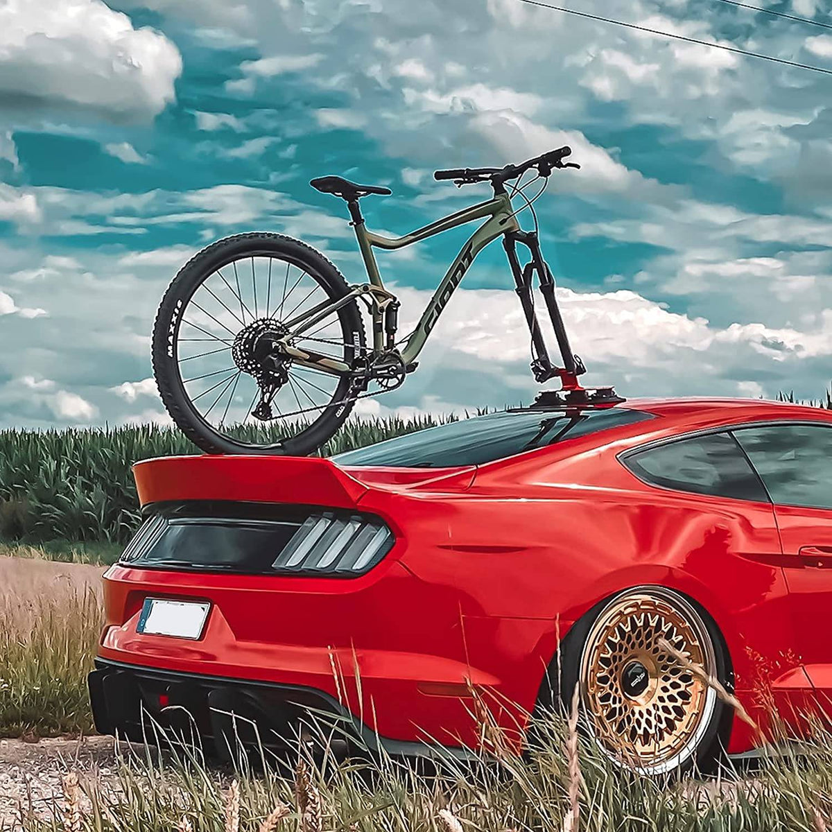 ROCKBROS Portabicicletas Portaequipajes de techo para bicicleta con ventosas de montaje rápido
